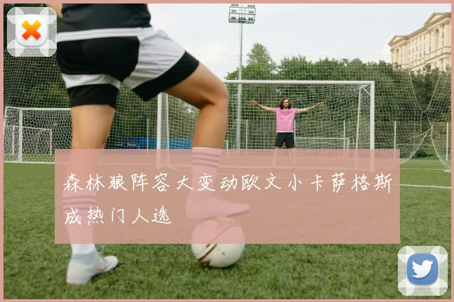 森林狼阵容大变动欧文小卡萨格斯成热门人选